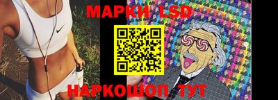 гидра Заводоуковск