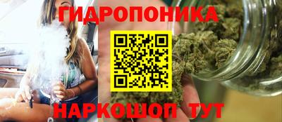 ALPHA PVP Бийск