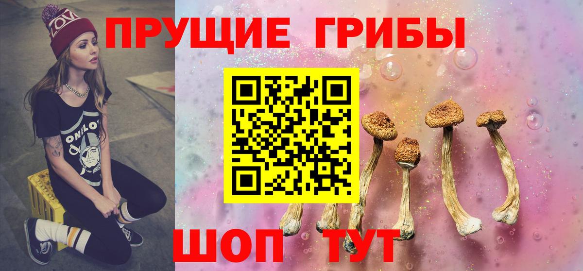 Кемерово  Псилоцибиновые грибы мицелий  Галлюциногенные грибы Magic Shrooms  Вход с VPN 